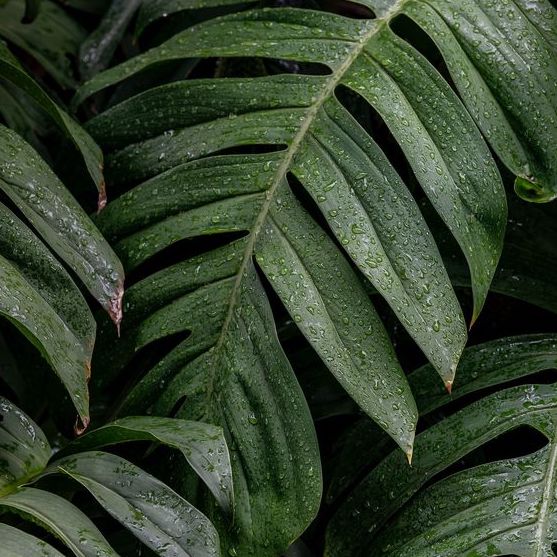 What The Fudge Does Being Carbon Neutral Even Mean (And Is It Green Washing?)