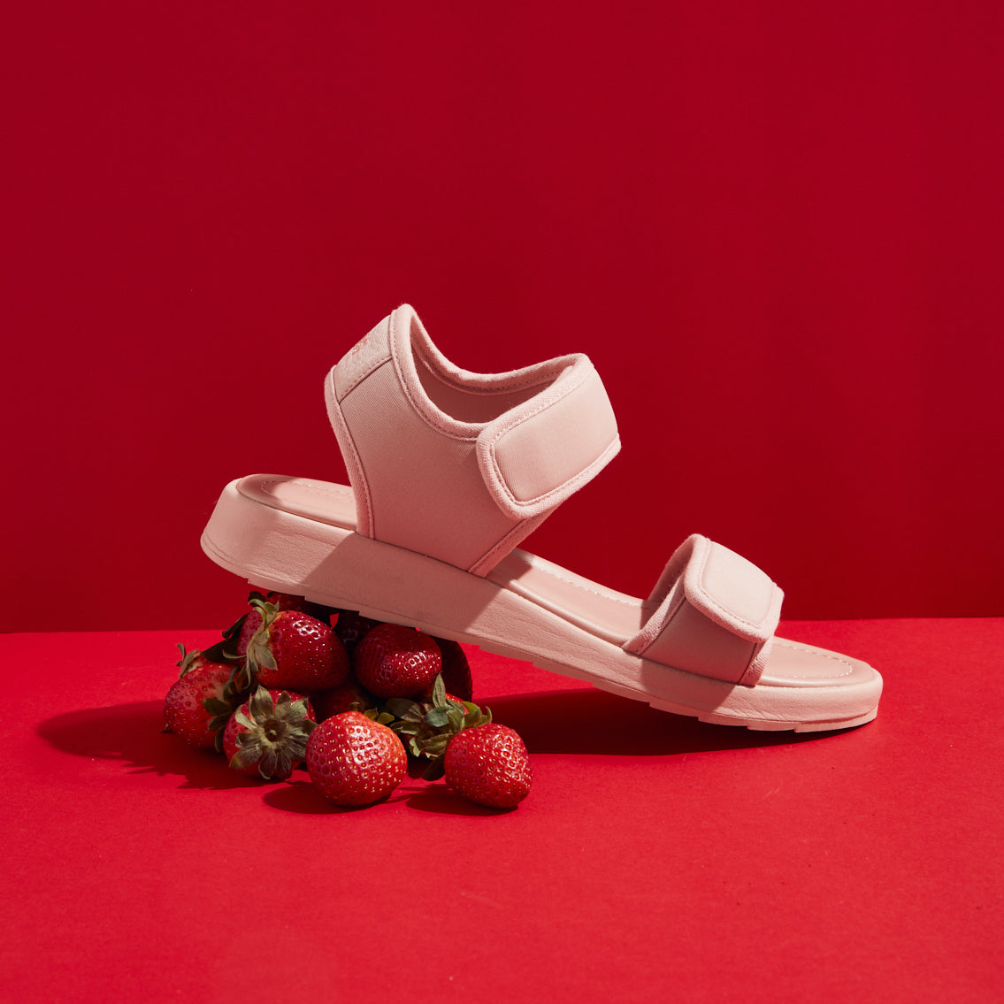 The Blog Post for People Who Want To Take Care of Their TWOOBS Good and Wanna Learn How To Do Other Stuff Good Too.