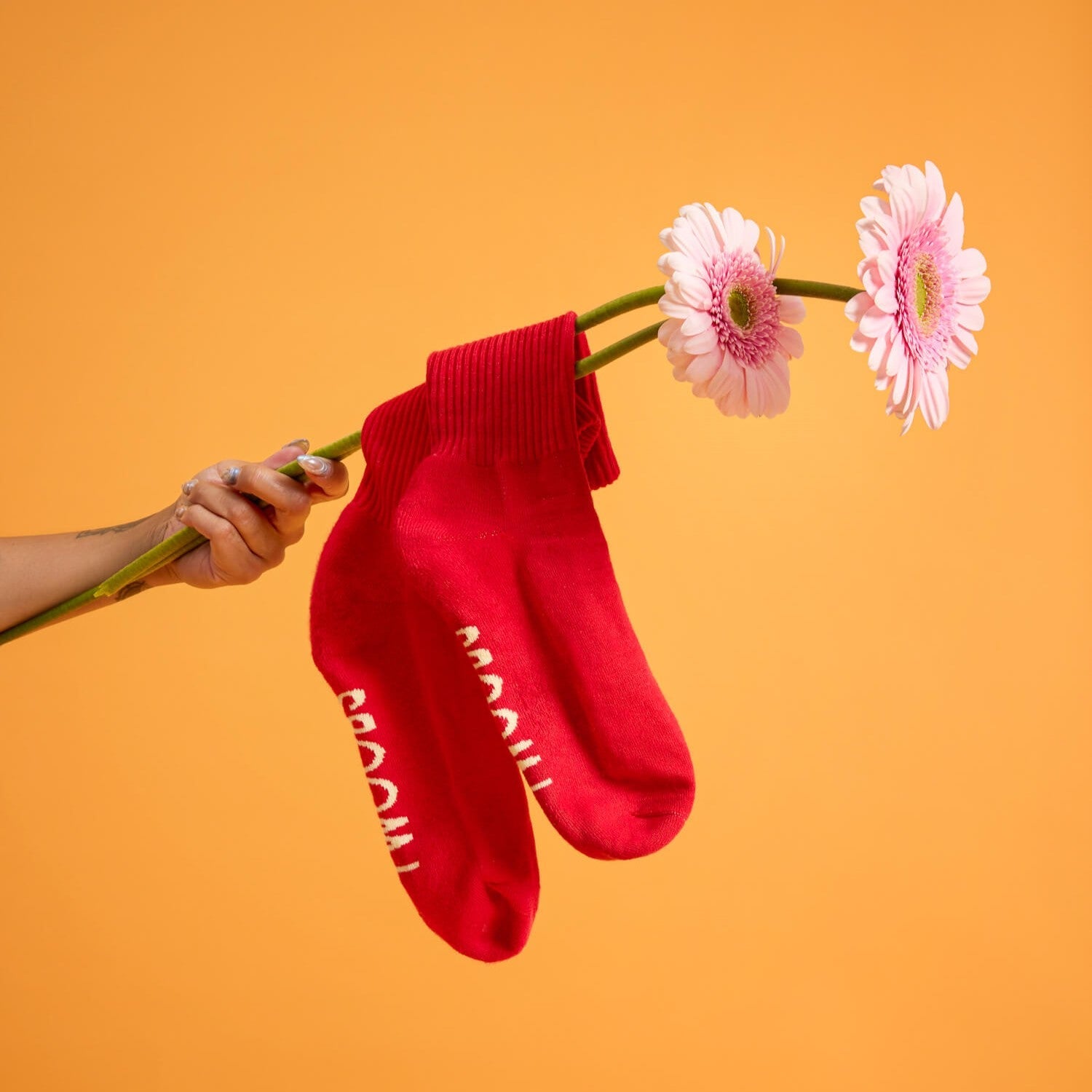 Sockys