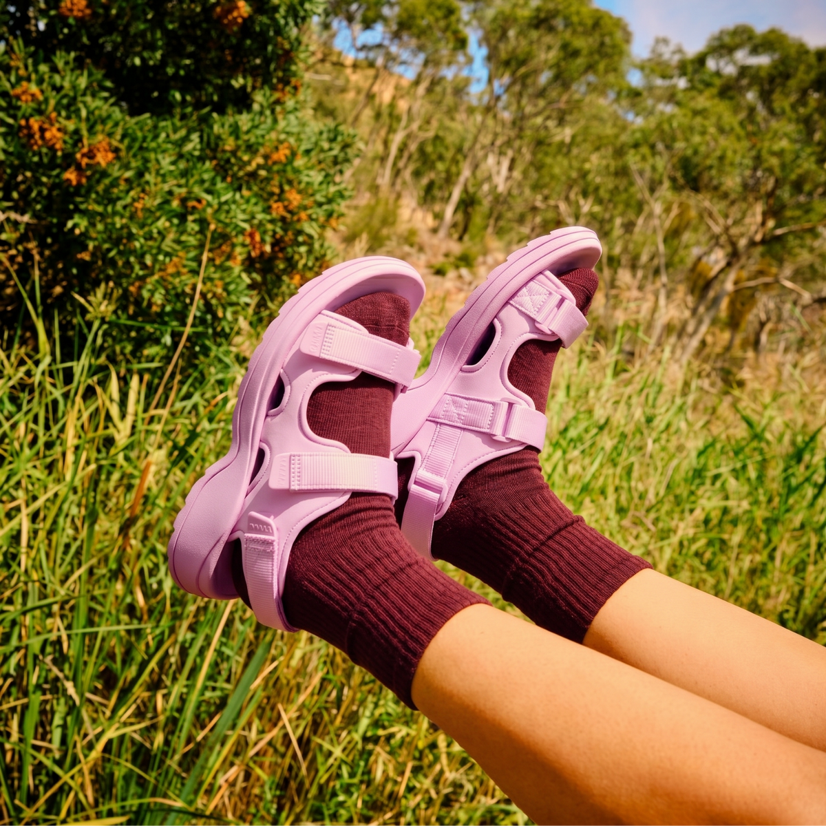 Sockys