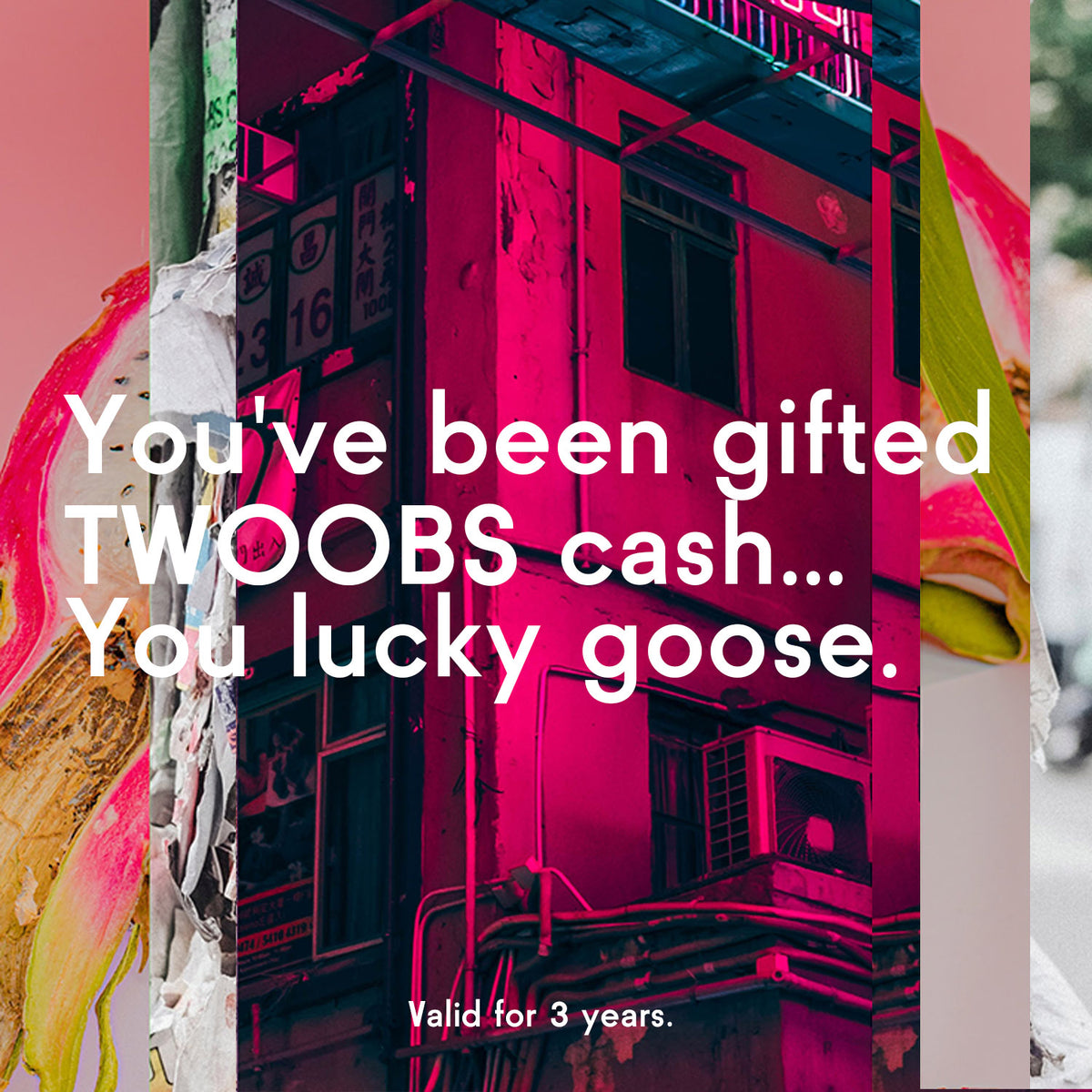 The Gift of TWOOBS